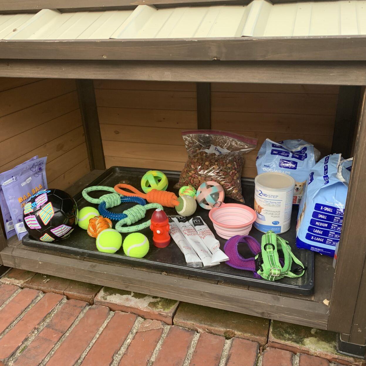 Toys and treats in Little Dog Library